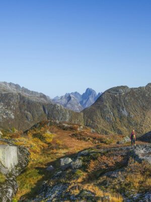 A lone hiker explores the vibrant autumn landscape of Lofoten, Norway, under a clear blue sky.