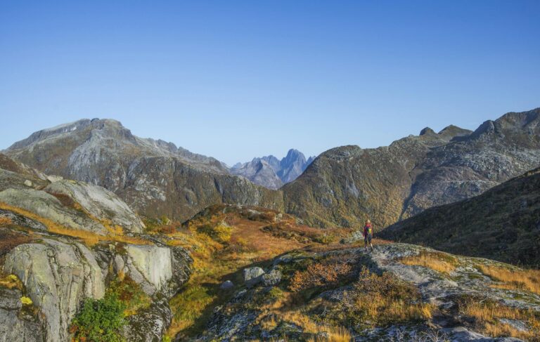 A lone hiker explores the vibrant autumn landscape of Lofoten, Norway, under a clear blue sky.